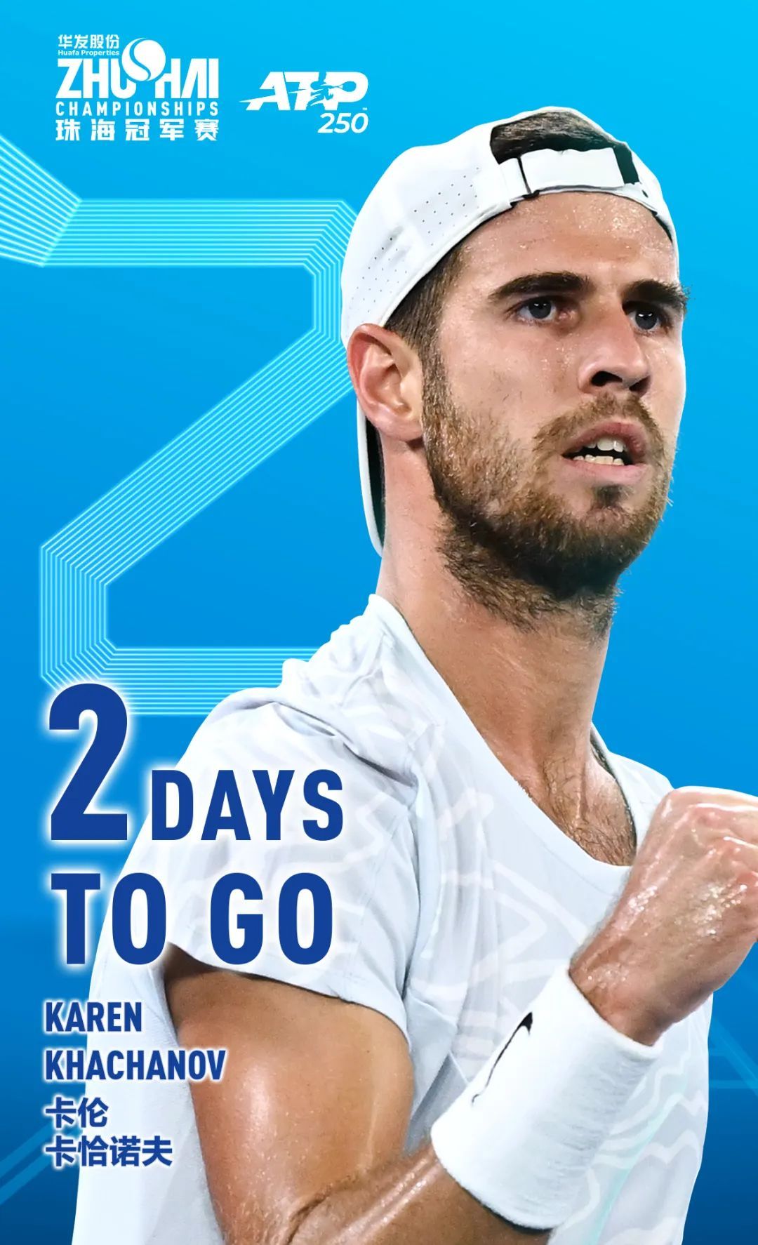 险或恶意动 险或恶意动